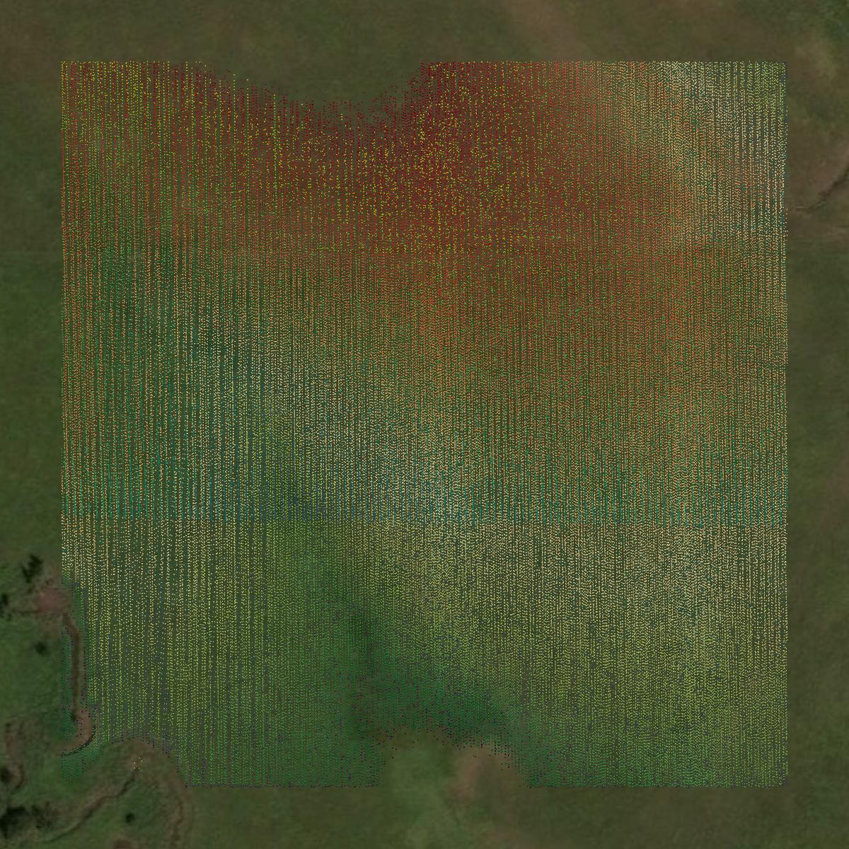 This image shows a LiDAR point cloud in Lyon County created using GIS data in Equator.