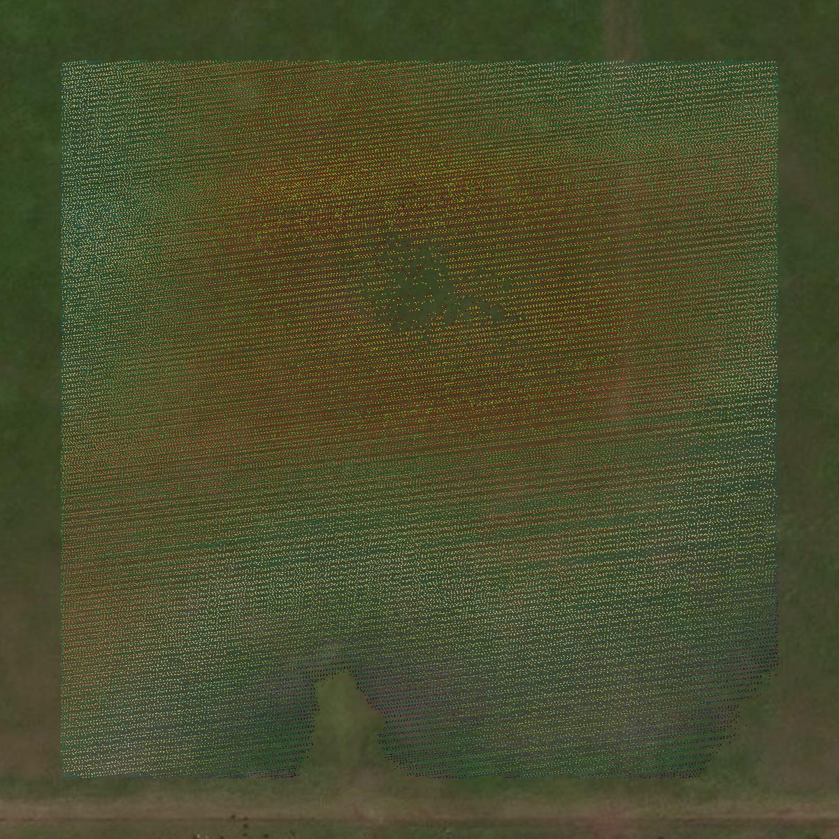 This image shows a LiDAR point cloud in Lyon County created using GIS data in Equator.