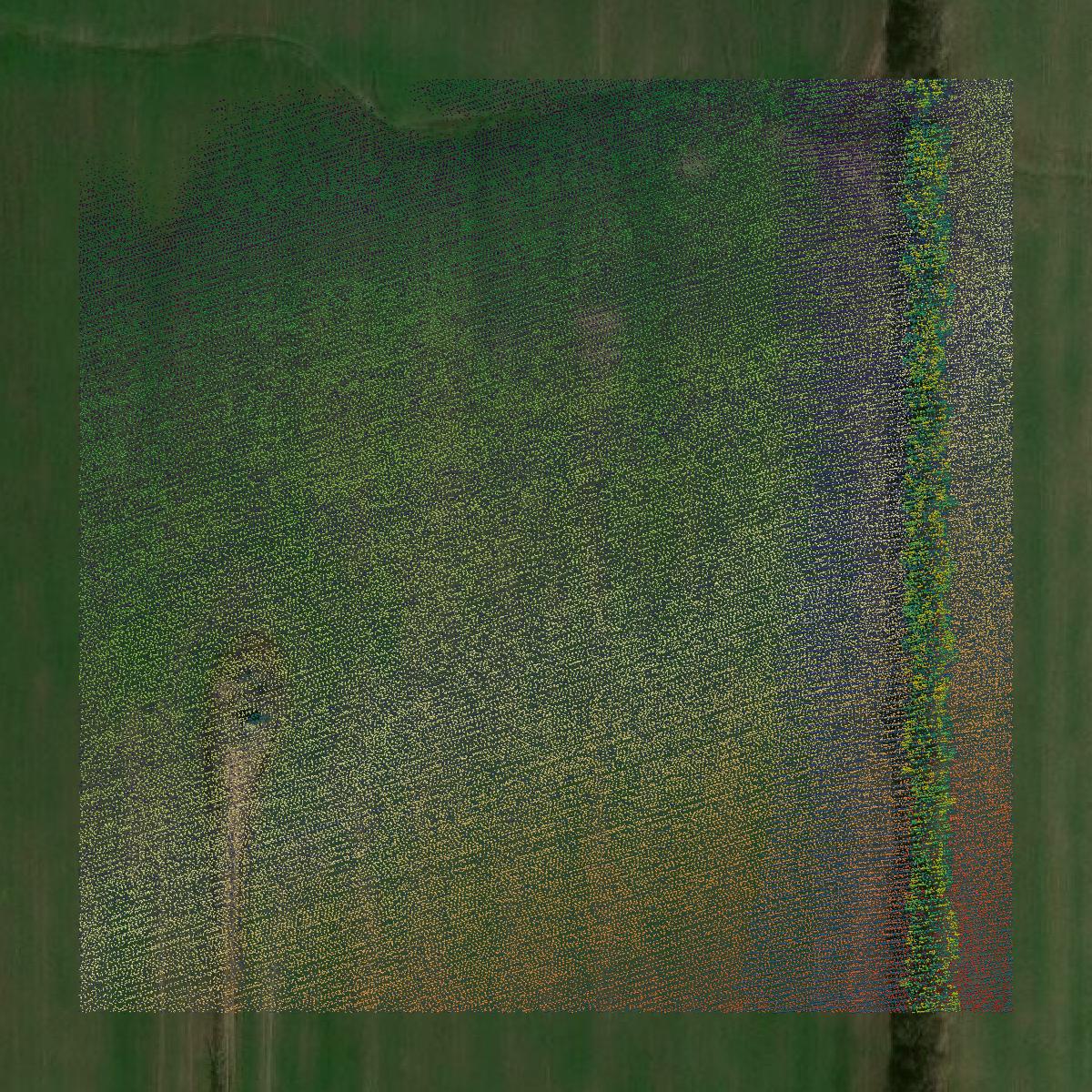 This image shows a LiDAR point cloud in Marion County created using GIS data in Equator.