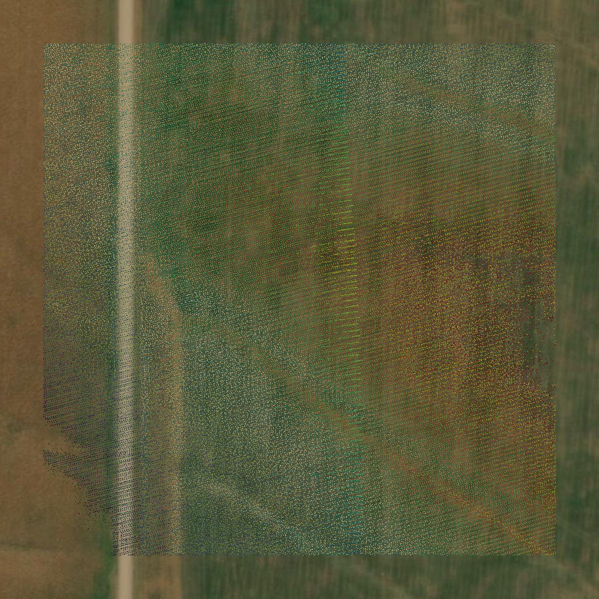 This image shows a LiDAR point cloud in Montgomery County created using GIS data in Equator.