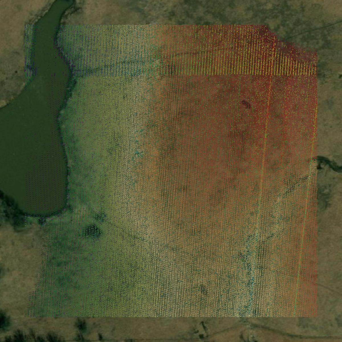 This image shows a LiDAR point cloud in Morris County created using GIS data in Equator.