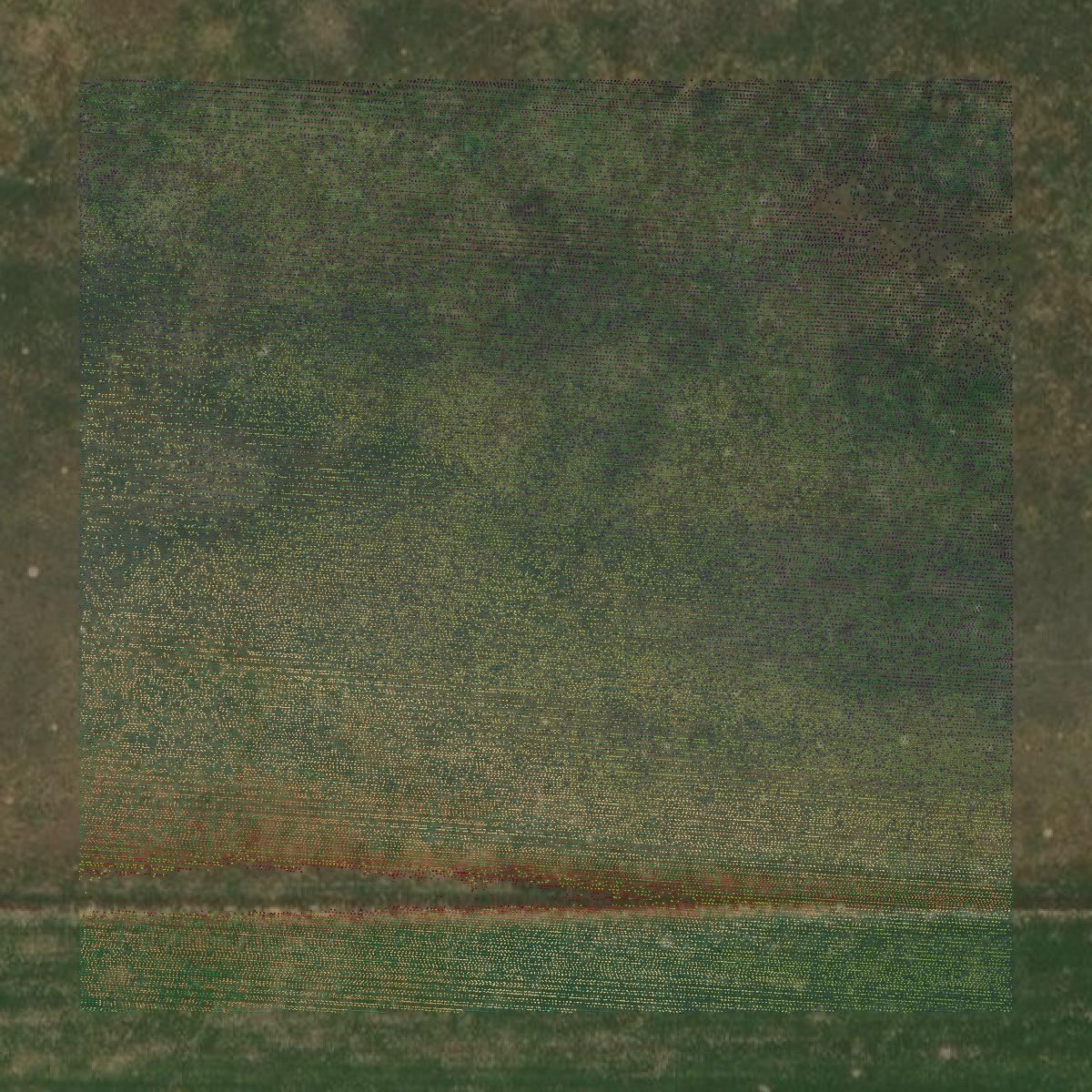 This image shows a LiDAR point cloud in Morton County created using GIS data in Equator.