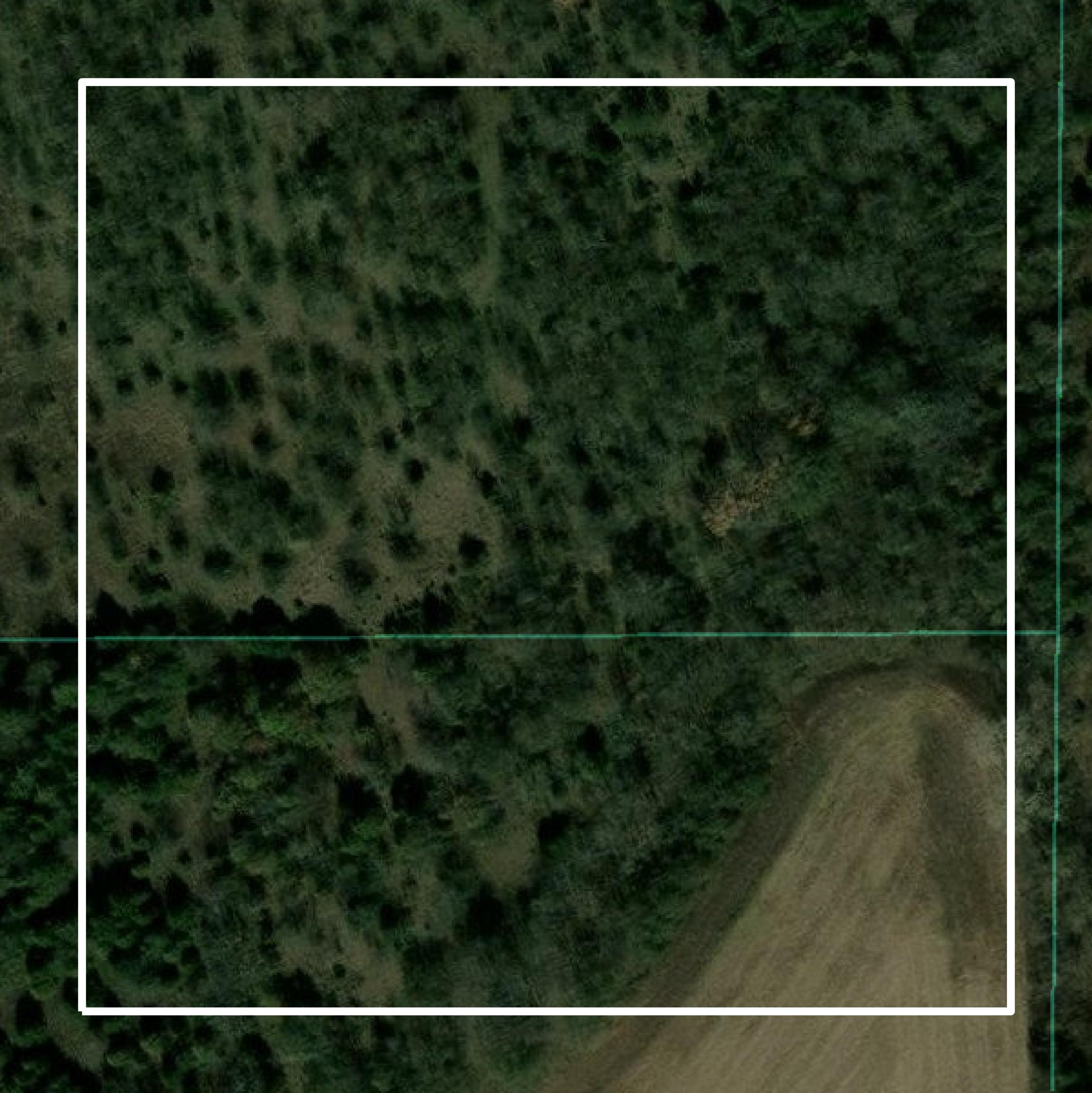 This image shows parcel and building data in Neosho County created using GIS data in Equator.