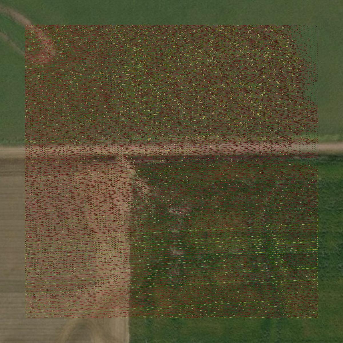 This image shows a LiDAR point cloud in Ness County created using GIS data in Equator.