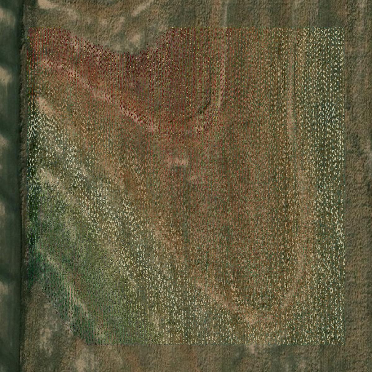 This image shows a LiDAR point cloud in Norton County created using GIS data in Equator.