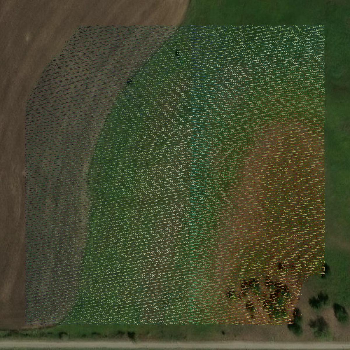 This image shows a LiDAR point cloud in Osage County created using GIS data in Equator.