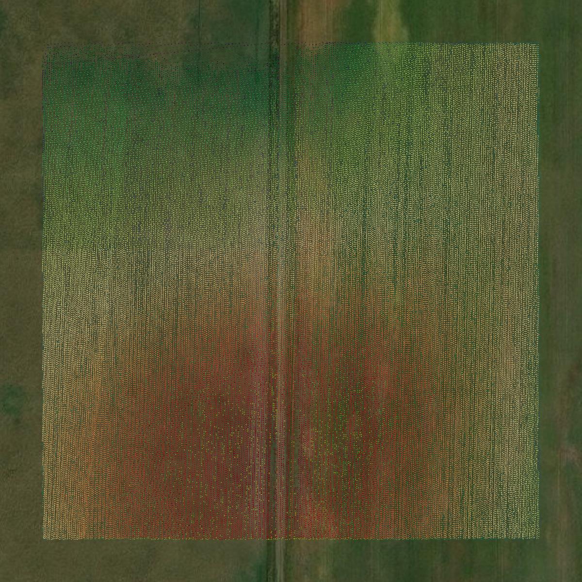 This image shows a LiDAR point cloud in Osage County created using GIS data in Equator.