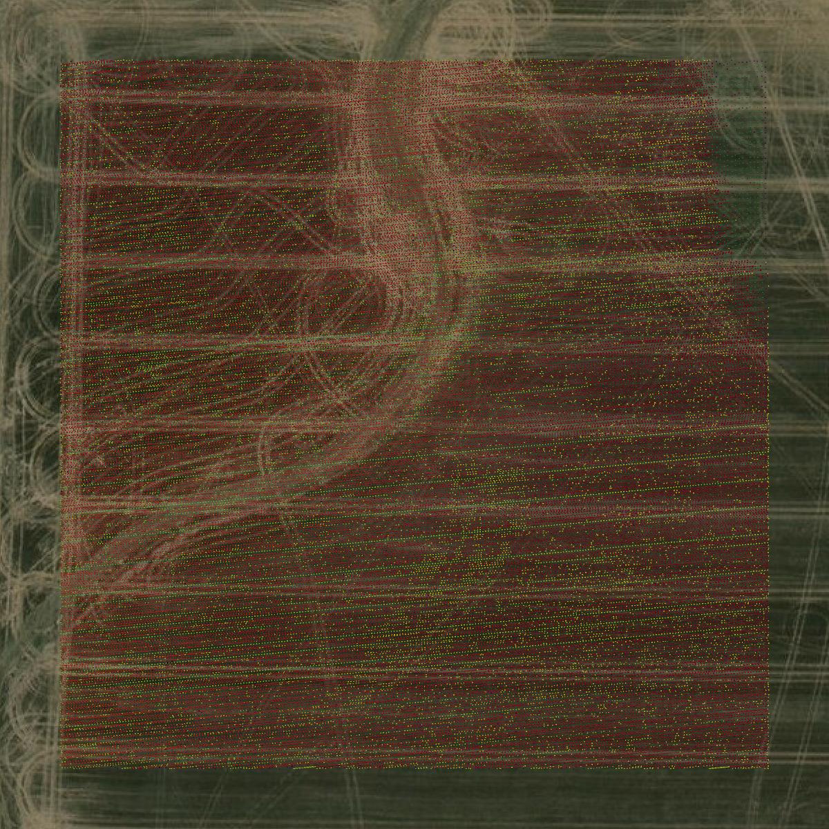 This image shows a LiDAR point cloud in Pawnee County created using GIS data in Equator.