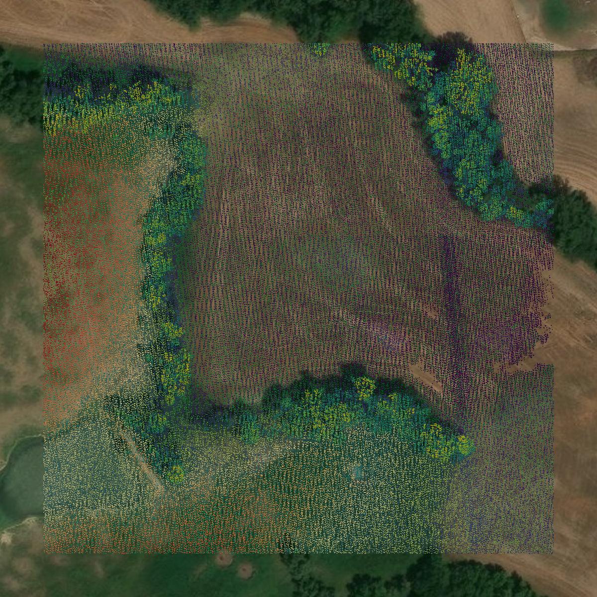 This image shows a LiDAR point cloud in Phillips County created using GIS data in Equator.