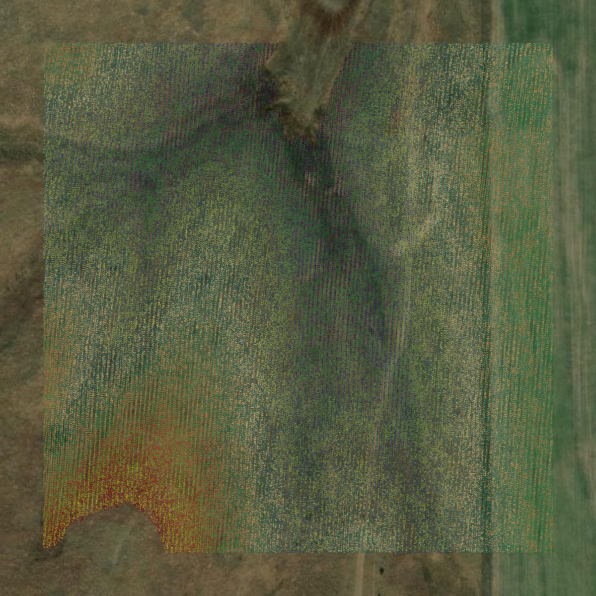 This image shows a LiDAR point cloud in Phillips County created using GIS data in Equator.
