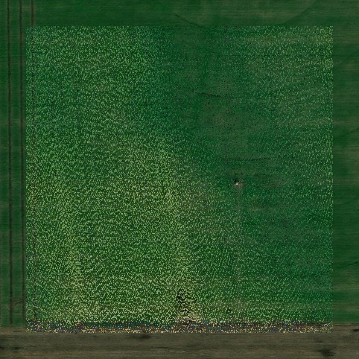 This image shows a LiDAR point cloud in Pottawatomie County created using GIS data in Equator.