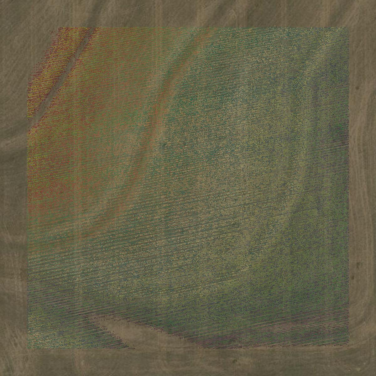 This image shows a LiDAR point cloud in Rawlins County created using GIS data in Equator.