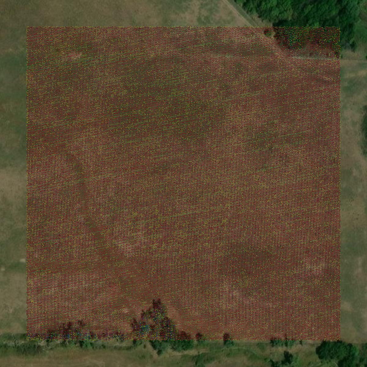 This image shows a LiDAR point cloud in Reno County created using GIS data in Equator.