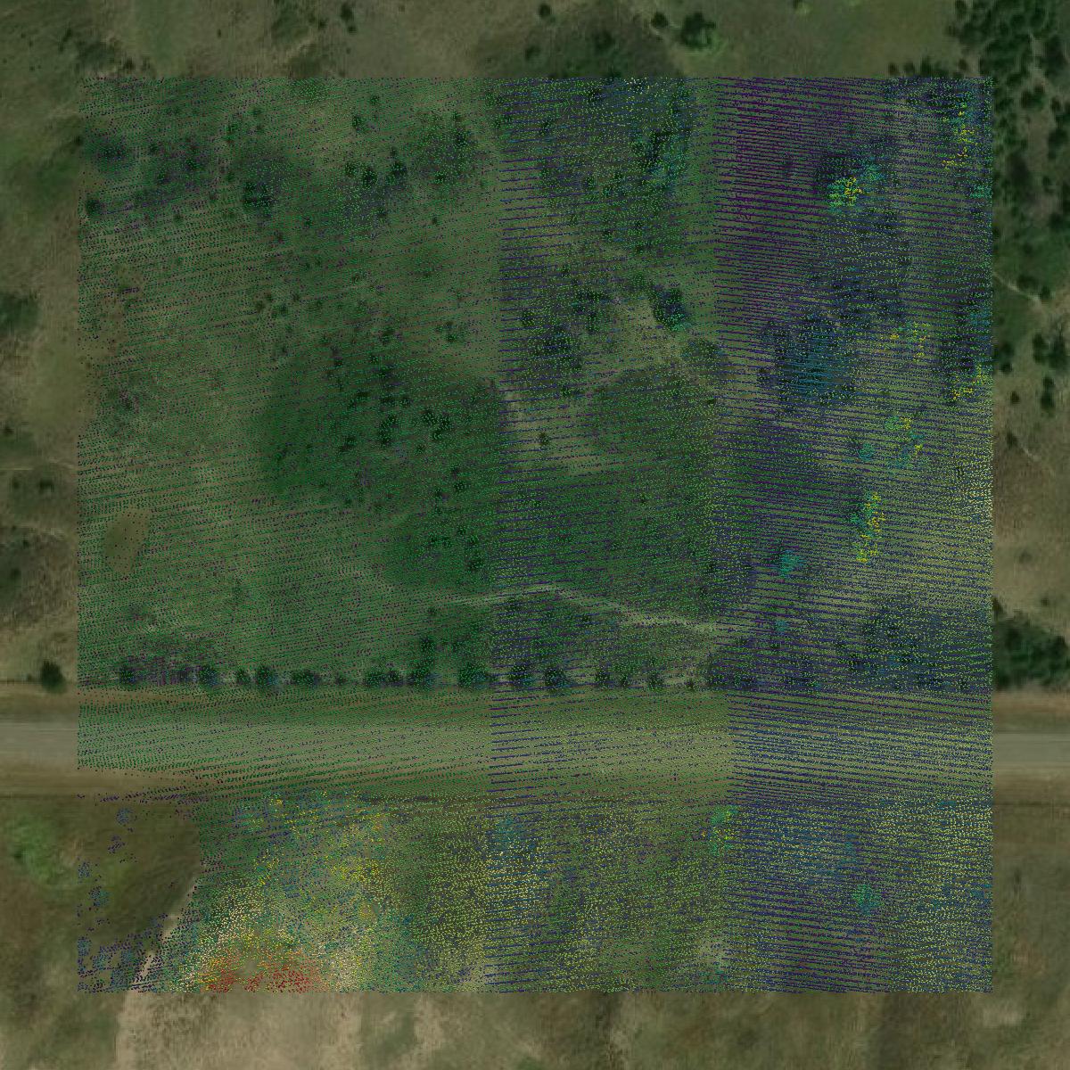 This image shows a LiDAR point cloud in Rice County created using GIS data in Equator.