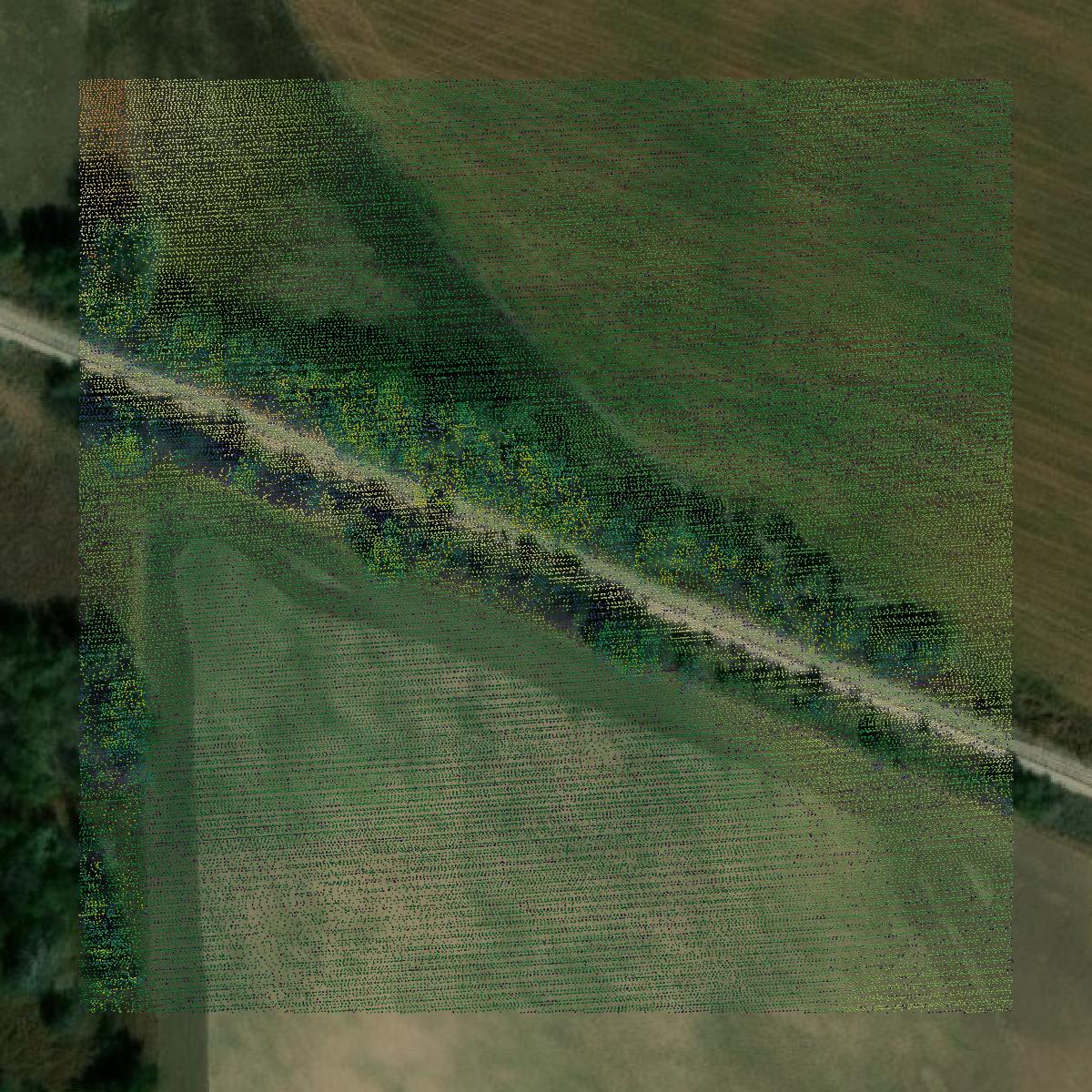 This image shows a LiDAR point cloud in Rice County created using GIS data in Equator.