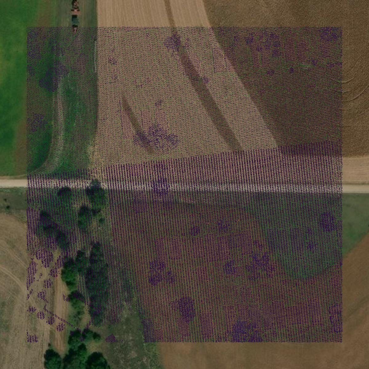 This image shows a LiDAR point cloud in Riley County created using GIS data in Equator.