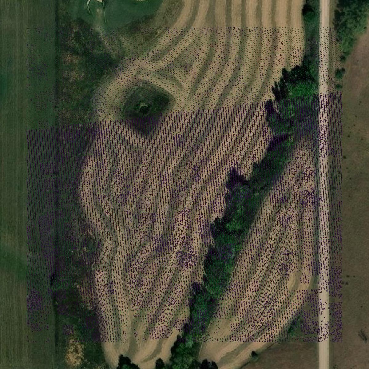 This image shows a LiDAR point cloud in Riley County created using GIS data in Equator.