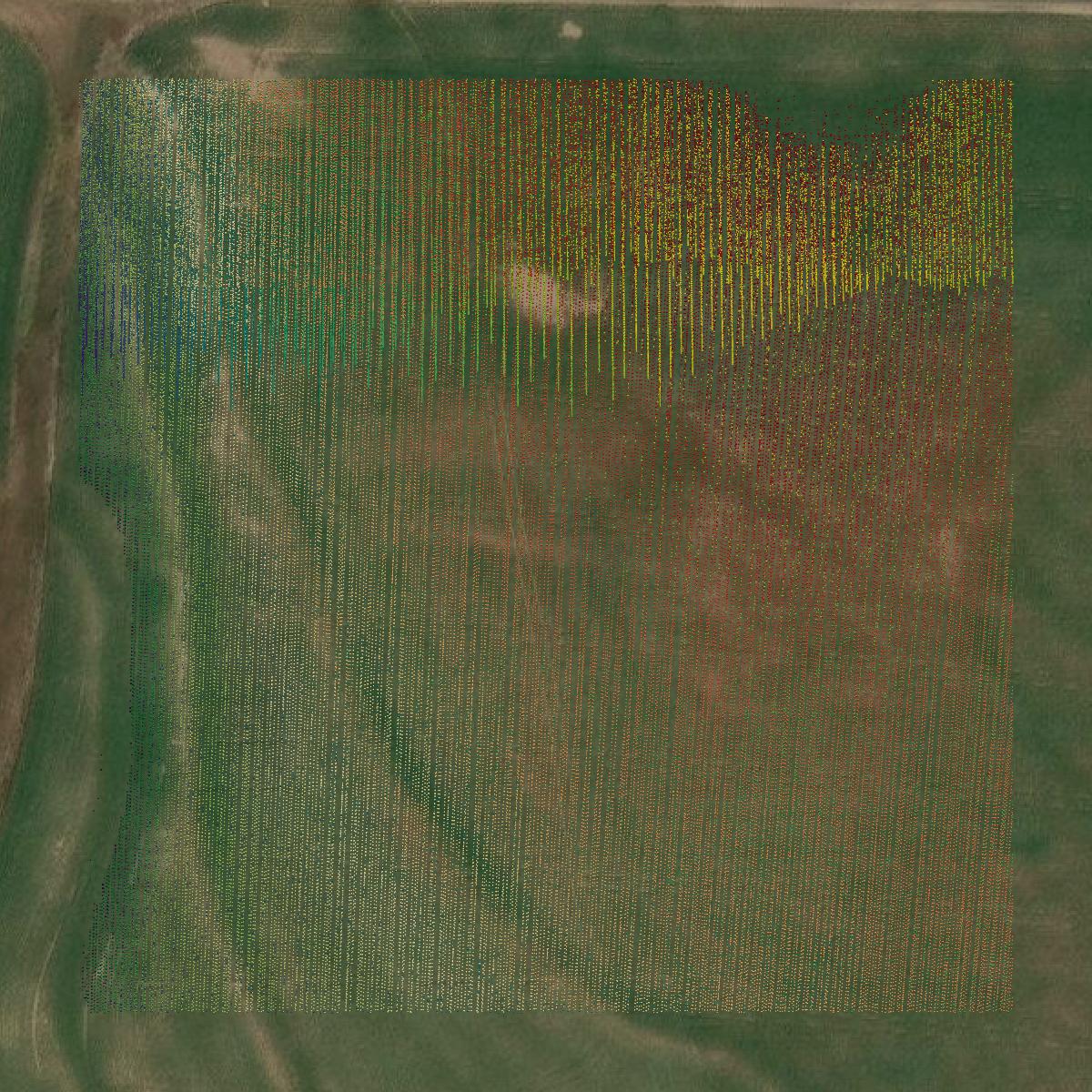 This image shows a LiDAR point cloud in Rooks County created using GIS data in Equator.