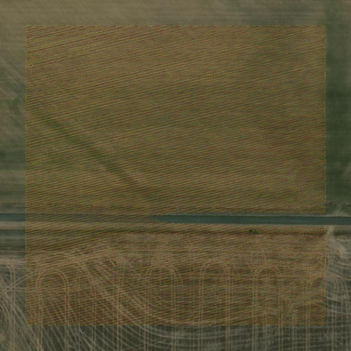 This image shows a LiDAR point cloud in Rush County created using GIS data in Equator.