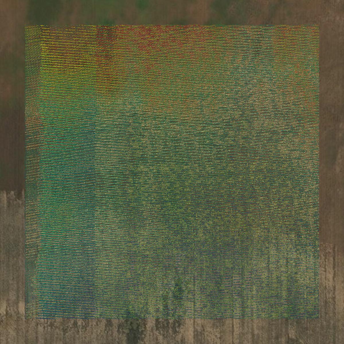 This image shows a LiDAR point cloud in Saline County created using GIS data in Equator.