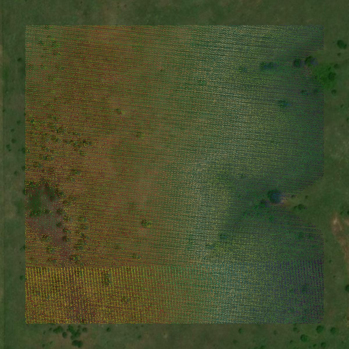 This image shows a LiDAR point cloud in Saline County created using GIS data in Equator.