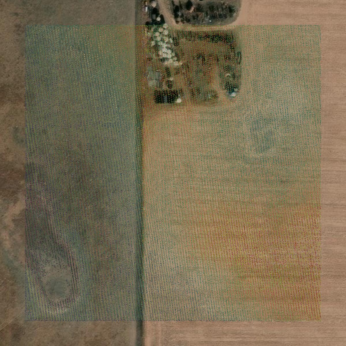 This image shows a LiDAR point cloud in Seward County created using GIS data in Equator.