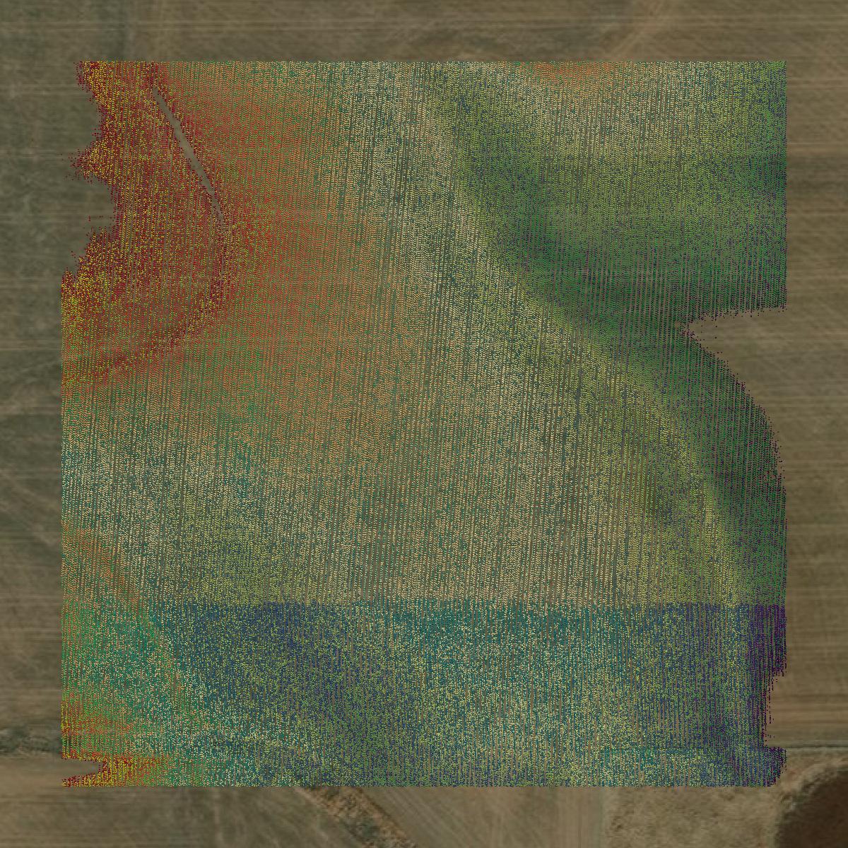 This image shows a LiDAR point cloud in Sumner County created using GIS data in Equator.