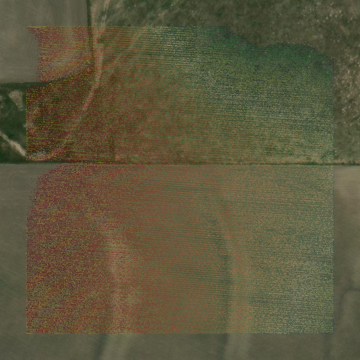 This image shows a LiDAR point cloud in Thomas County created using GIS data in Equator.
