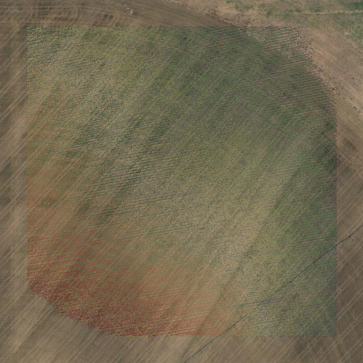 This image shows a LiDAR point cloud in Wallace County created using GIS data in Equator.