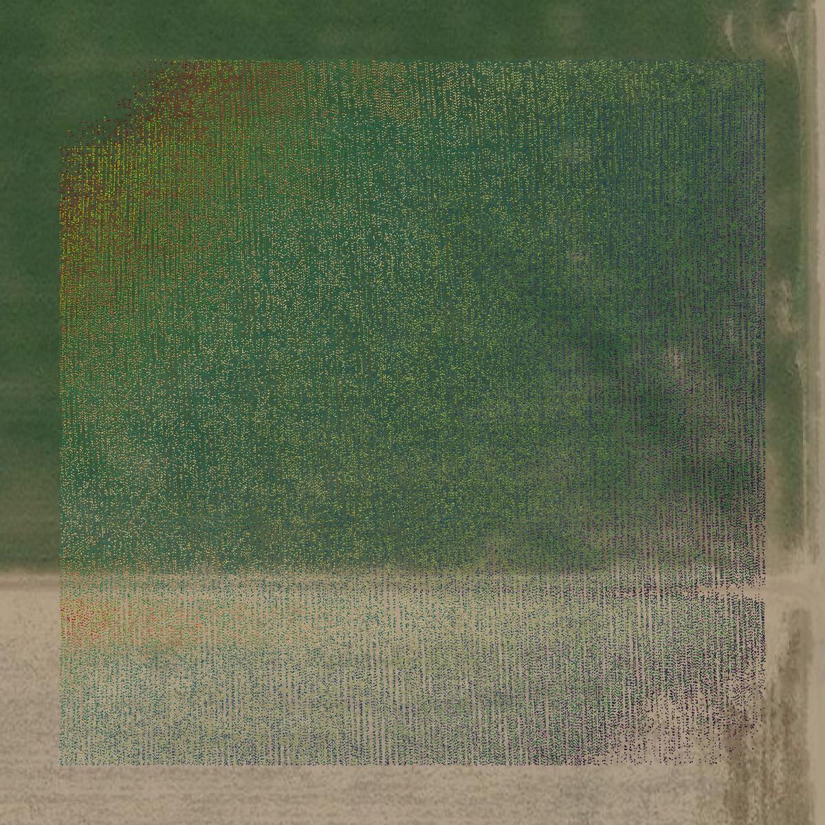 This image shows a LiDAR point cloud in Wichita County created using GIS data in Equator.
