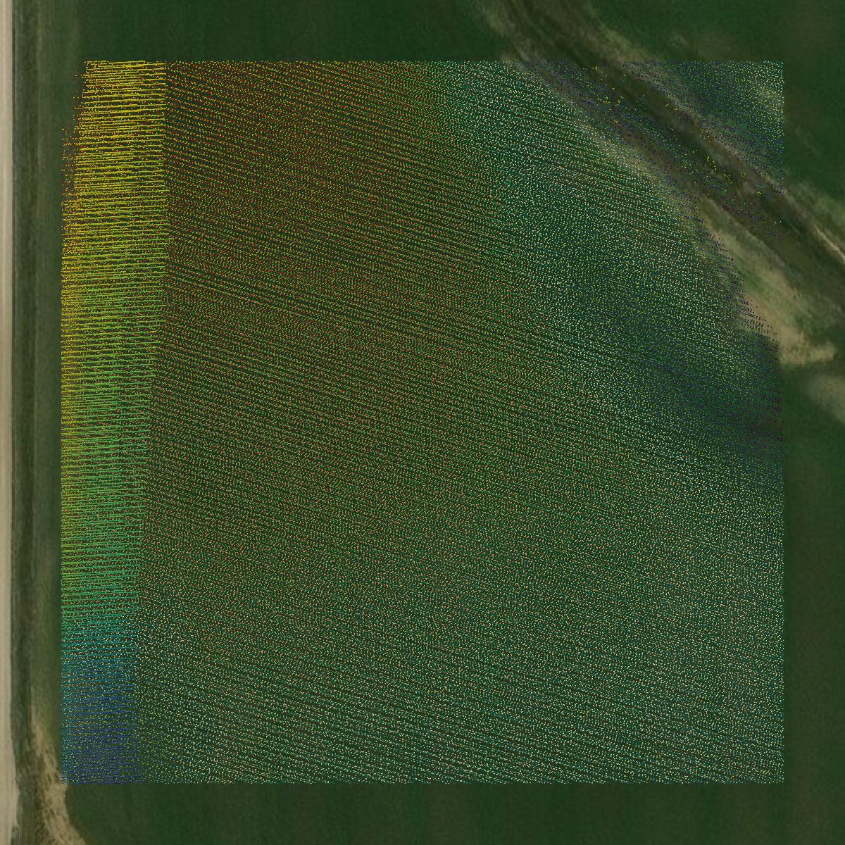 This image shows a LiDAR point cloud in Wilson County created using GIS data in Equator.