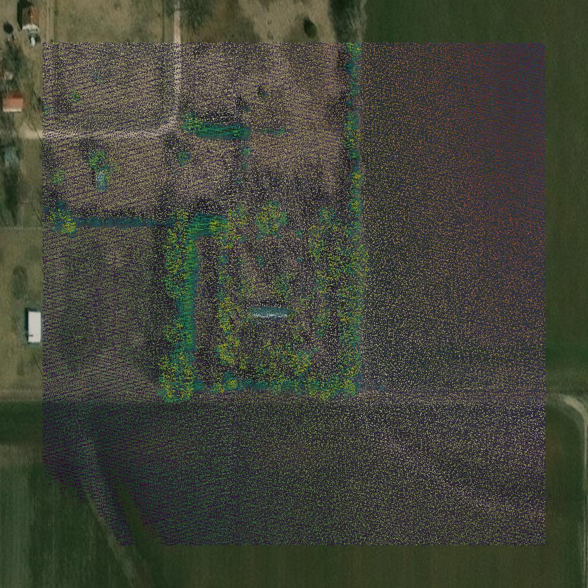 This image shows a LiDAR point cloud in Wilson County created using GIS data in Equator.