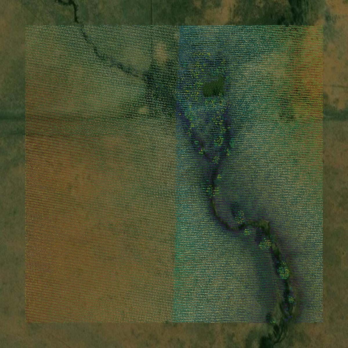 This image shows a LiDAR point cloud in Woodson County created using GIS data in Equator.