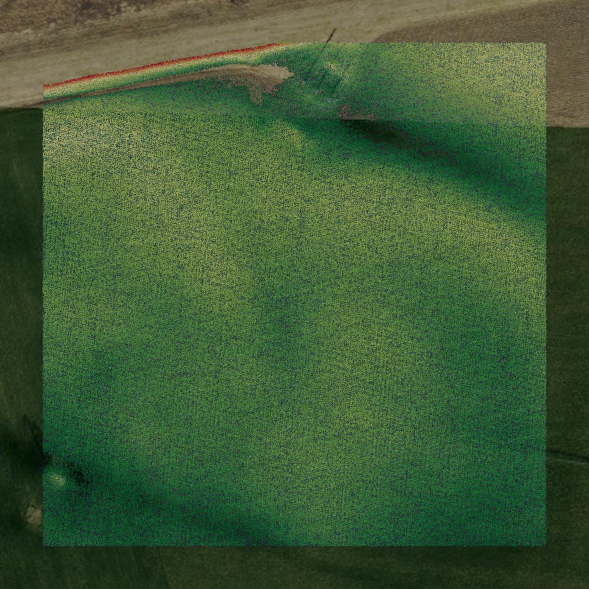 This image shows a LiDAR point cloud in Wyandotte County created using GIS data in Equator.