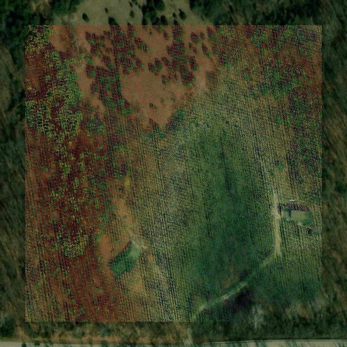 This image shows a LiDAR point cloud in Wyandotte County created using GIS data in Equator.