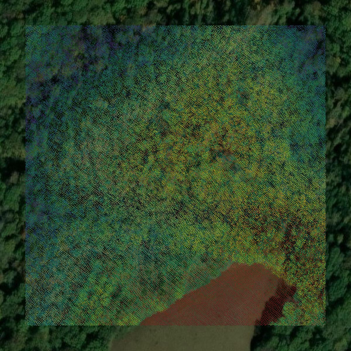 This image shows a LiDAR point cloud in Adair County created using GIS data in Equator.