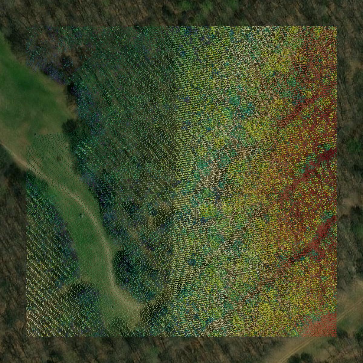 This image shows a LiDAR point cloud in Allen County created using GIS data in Equator.