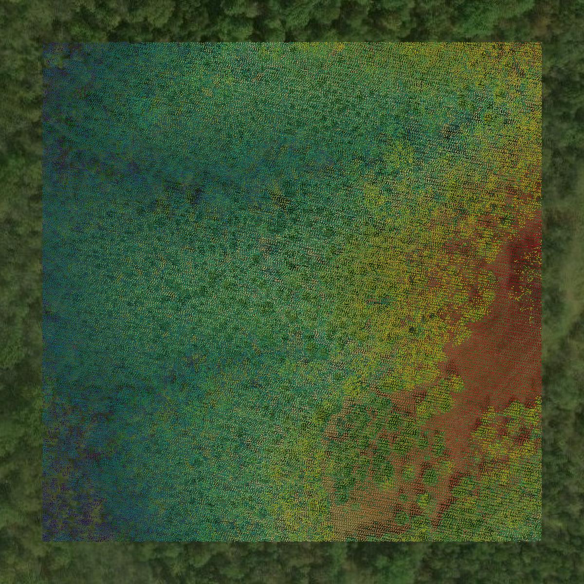 This image shows a LiDAR point cloud in Anderson County created using GIS data in Equator.