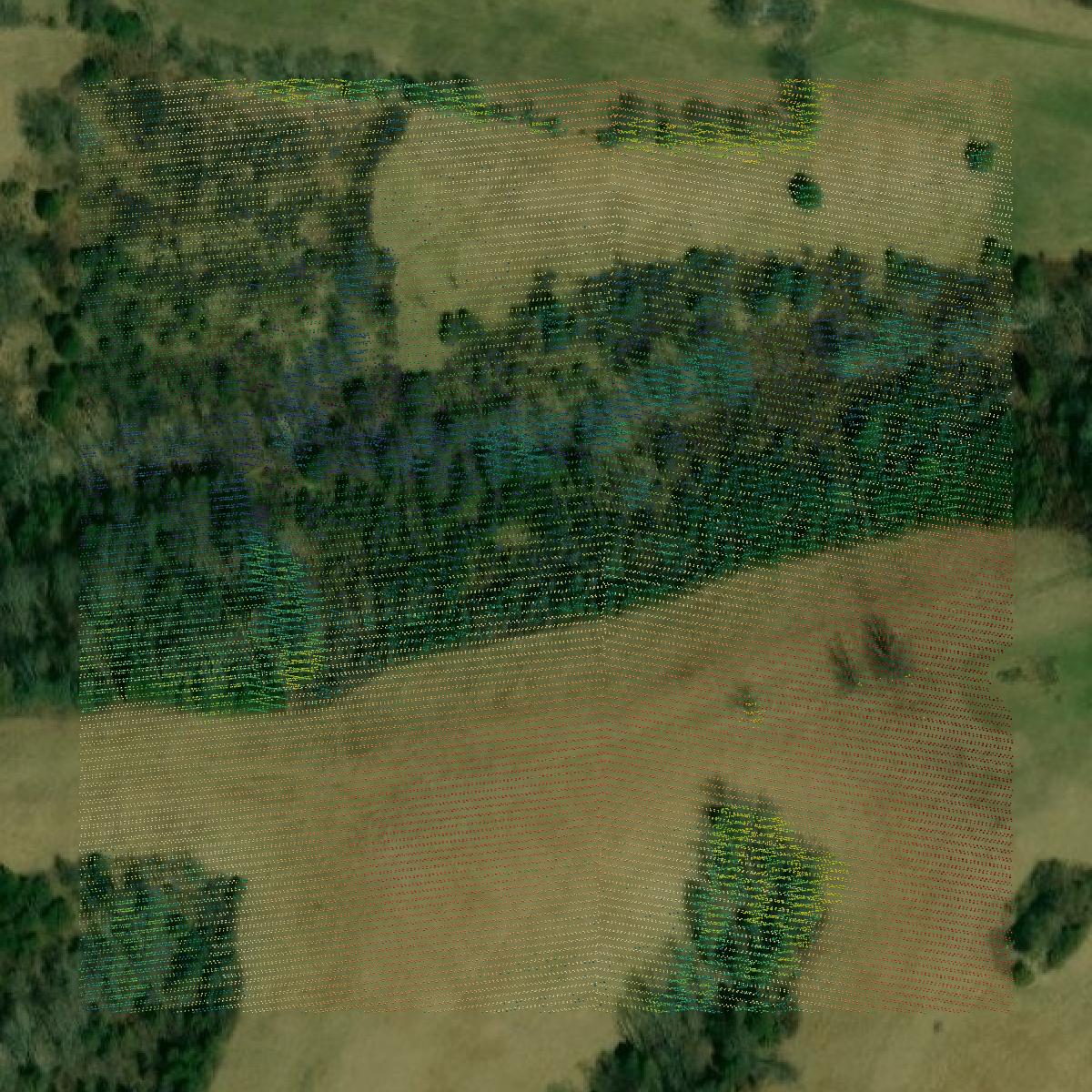 This image shows a LiDAR point cloud in Anderson County created using GIS data in Equator.
