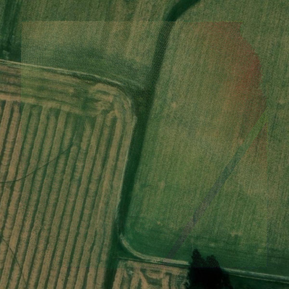 This image shows a LiDAR point cloud in Ballard County created using GIS data in Equator.