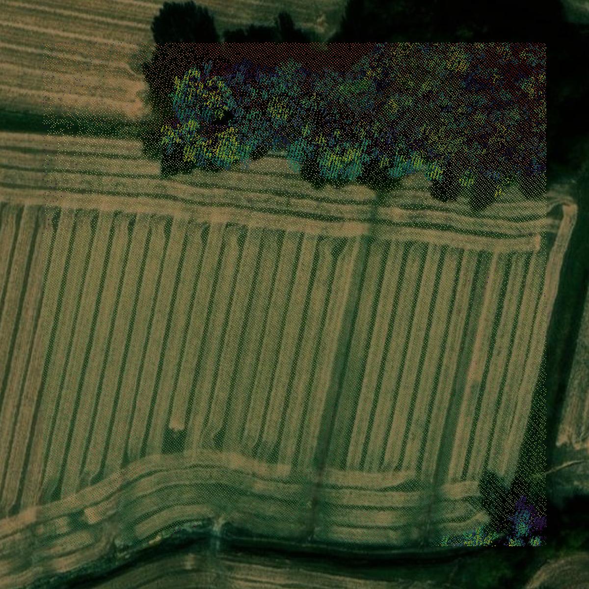 This image shows a LiDAR point cloud in Ballard County created using GIS data in Equator.
