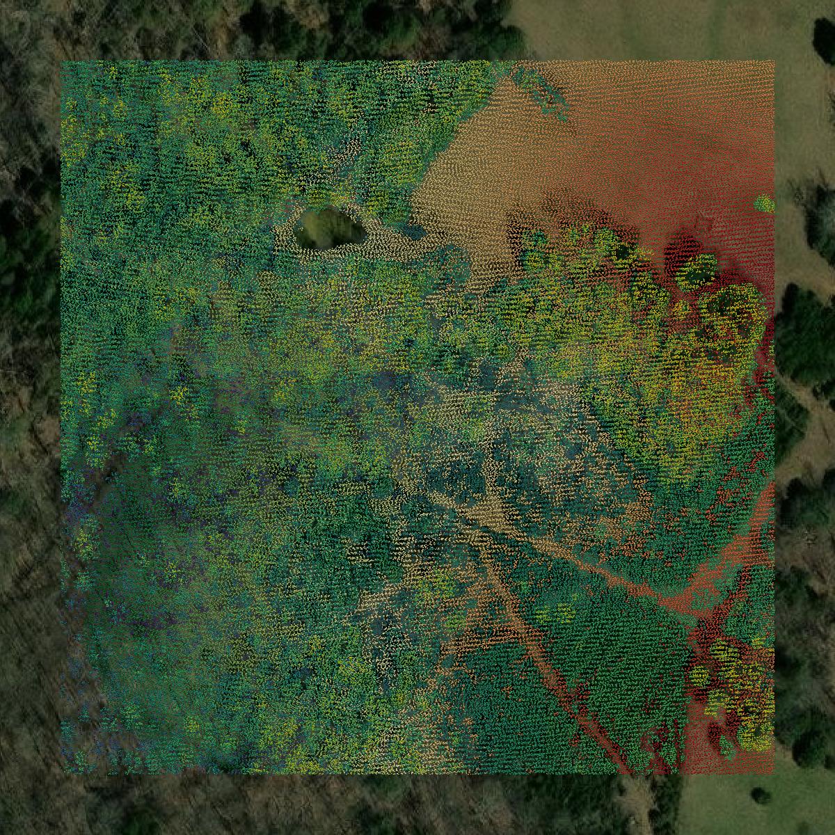 This image shows a LiDAR point cloud in Barren County created using GIS data in Equator.
