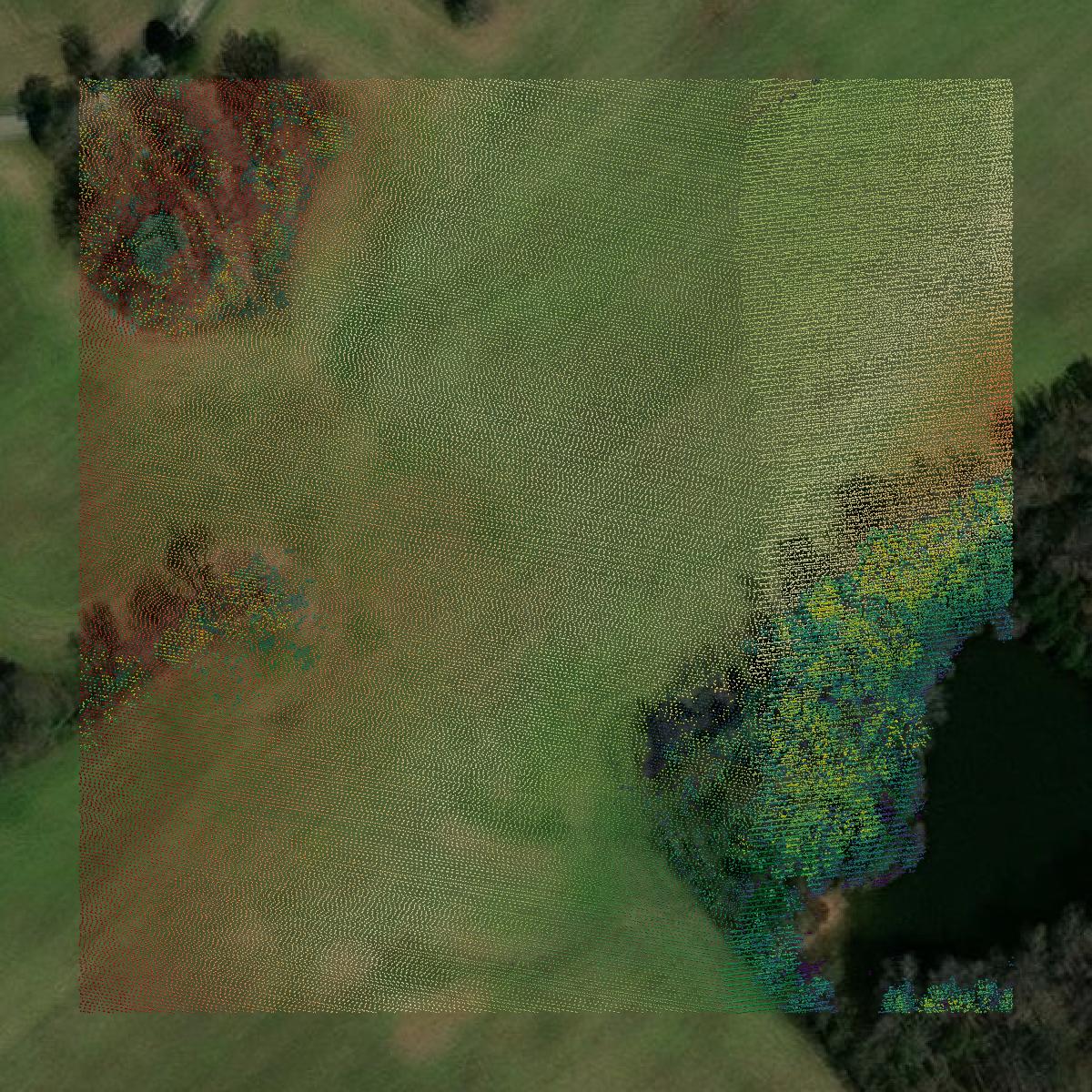 This image shows a LiDAR point cloud in Barren County created using GIS data in Equator.
