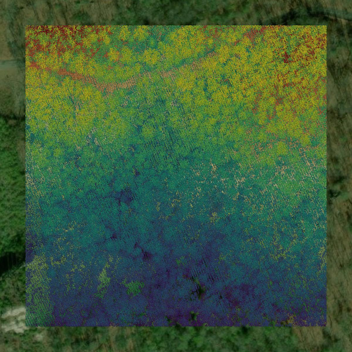 This image shows a LiDAR point cloud in Bell County created using GIS data in Equator.