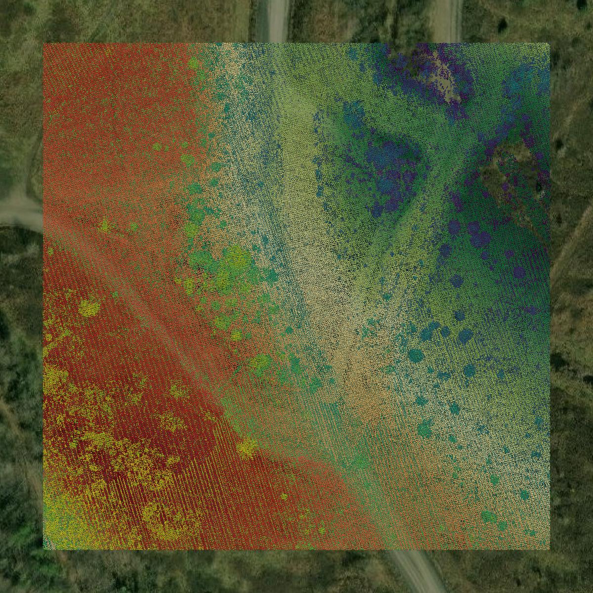 This image shows a LiDAR point cloud in Bell County created using GIS data in Equator.