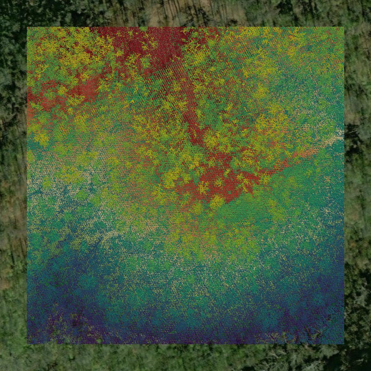 This image shows a LiDAR point cloud in Boone County created using GIS data in Equator.