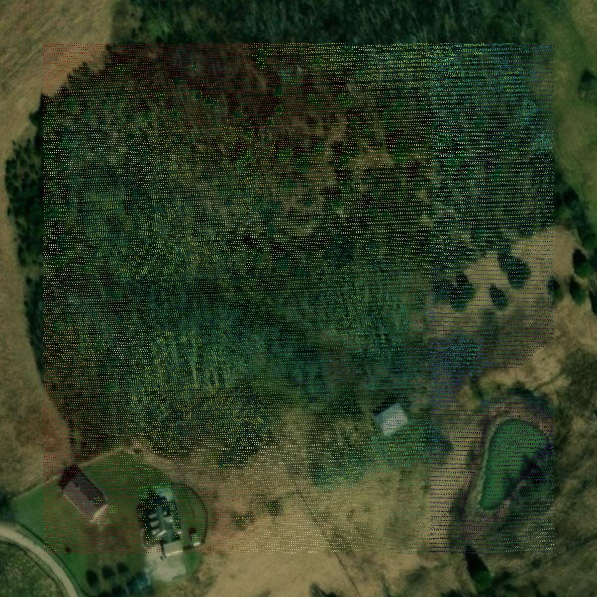 This image shows a LiDAR point cloud in Bourbon County created using GIS data in Equator.