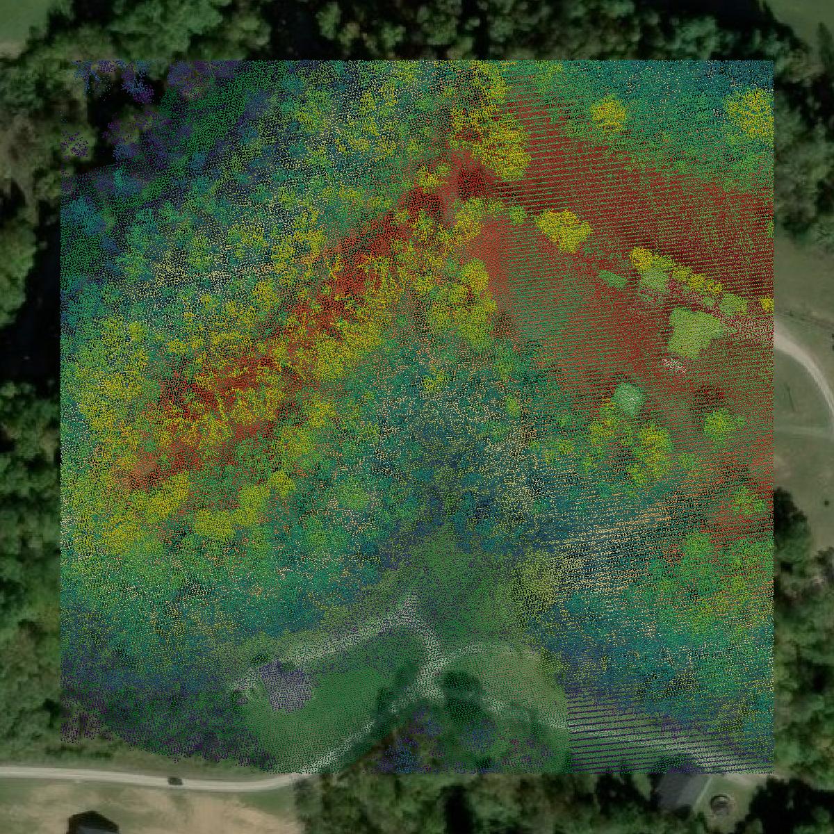 This image shows a LiDAR point cloud in Boyd County created using GIS data in Equator.