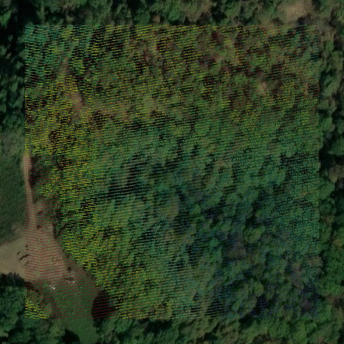 This image shows a LiDAR point cloud in Boyle County created using GIS data in Equator.