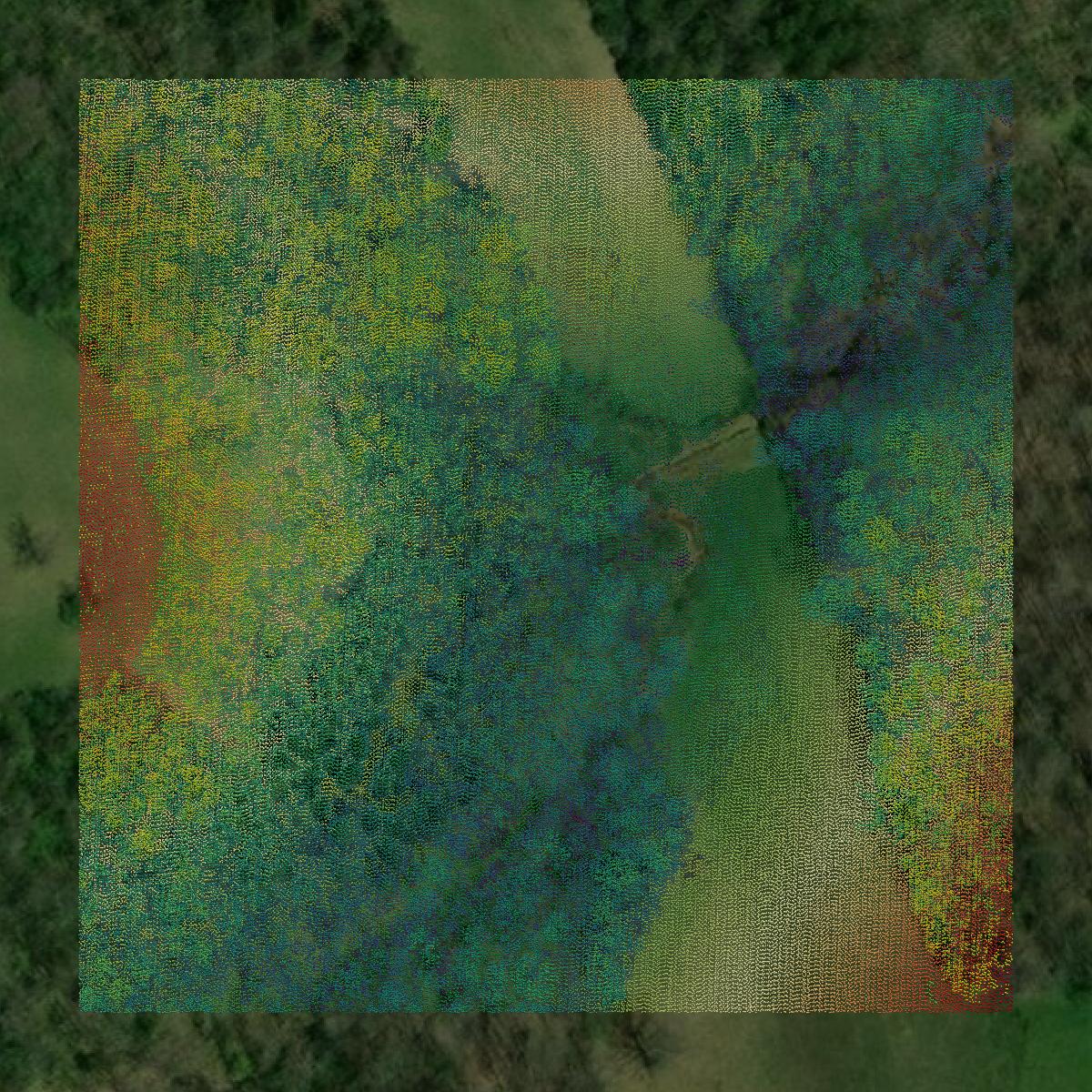 This image shows a LiDAR point cloud in Bracken County created using GIS data in Equator.